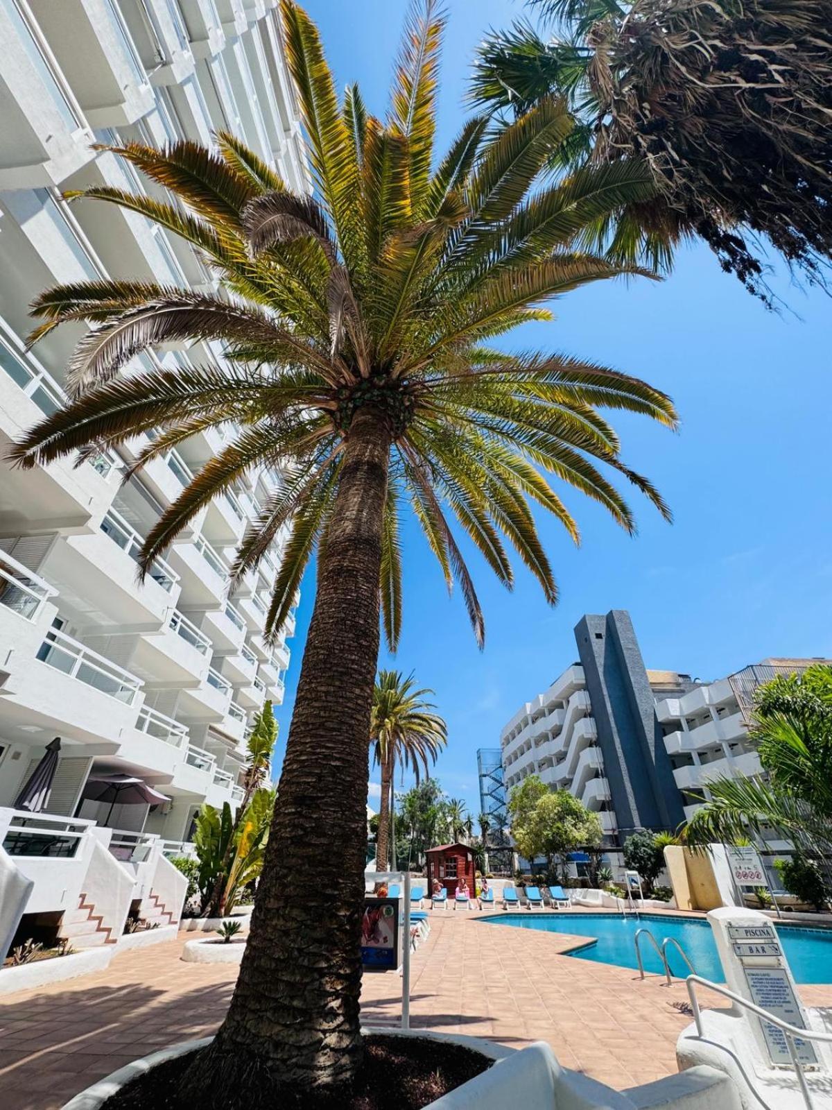 Jameo De Agua, Las Americas Studio Sea View Playa Feñabe Екстериор снимка