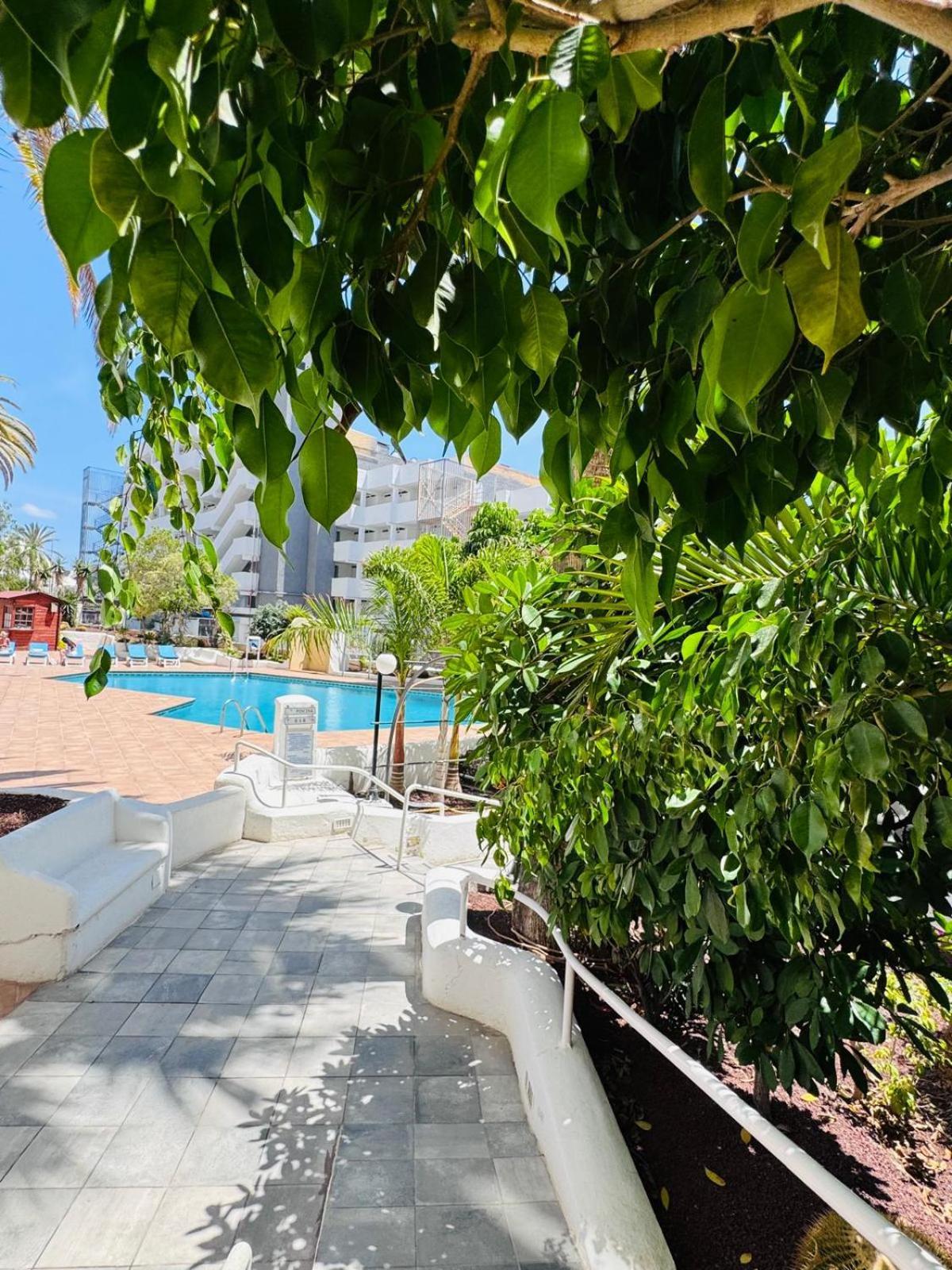 Jameo De Agua, Las Americas Studio Sea View Playa Feñabe Екстериор снимка
